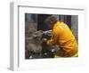 Firefighter Shares His Water an Injured Australian Koala after Wildfires Swept Through the Region-null-Framed Photographic Print