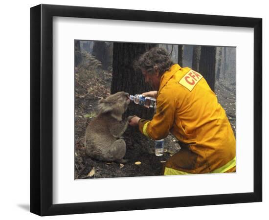 Premium Photographic Print, , large