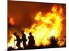 Firefighters Work the Sawtooth Complex Fire-null-Mounted Photographic Print