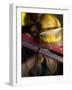 Firefighting Gear-null-Framed Photographic Print