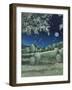 Fireflies Meadow-Debbi Wetzel-Framed Giclee Print