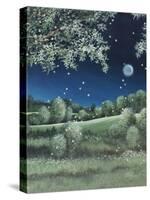 Fireflies Meadow-Debbi Wetzel-Stretched Canvas