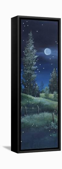 Fireflies-Debbi Wetzel-Framed Stretched Canvas