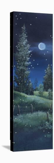 Fireflies-Debbi Wetzel-Stretched Canvas