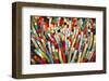 Fireflowers-James Wyper-Framed Art Print