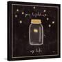 Firefly Glow I-Jess Aiken-Stretched Canvas