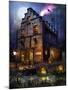 Firefly Inn-Joel Christopher Payne-Mounted Giclee Print