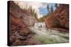 Firehole Falls, Yellowstone-Vincent James-Stretched Canvas