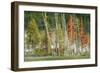 Firehole Lakeside Trees, Yellowstone-Vincent James-Framed Photographic Print