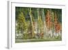 Firehole Lakeside Trees, Yellowstone-Vincent James-Framed Photographic Print