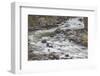 Firehole River, Firehole Canyon drive, Yellowstone National Park, Wyoming-Adam Jones-Framed Photographic Print