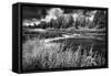 Firehole River, Yellowstone National Park-Dean Fikar-Framed Stretched Canvas