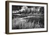 Firehole River, Yellowstone National Park-Dean Fikar-Framed Photographic Print