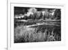 Firehole River, Yellowstone National Park-Dean Fikar-Framed Photographic Print