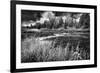 Firehole River, Yellowstone National Park-Dean Fikar-Framed Photographic Print