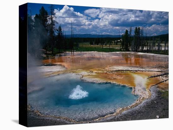 Firehole Spring, Yellowstone National Park, WY-Bob LeRoy-Stretched Canvas