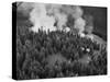 Firejumpers in Lolo National Forest-W.E. Steuerwald-Stretched Canvas