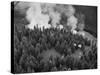 Firejumpers in Lolo National Forest-W.E. Steuerwald-Stretched Canvas