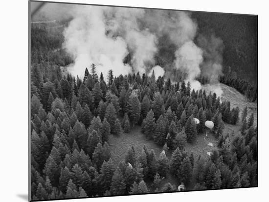 Firejumpers in Lolo National Forest-W.E. Steuerwald-Mounted Photographic Print