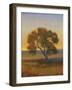 Firelight I-Tim O'toole-Framed Art Print