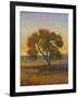 Firelight I-Tim O'toole-Framed Art Print