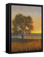 Firelight II-Tim O'toole-Framed Stretched Canvas