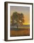 Firelight II-Tim O'toole-Framed Art Print