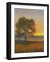 Firelight II-Tim O'toole-Framed Art Print