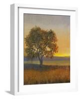 Firelight II-Tim O'toole-Framed Art Print