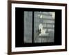 Firemen are Seen Spraying Water on the Smoldering Ruins of the World Trade Center-null-Framed Photographic Print