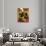 Firemen-David Chestnutt-Giclee Print displayed on a wall