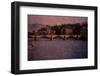 Firenze by Andre Burian-André Burian-Framed Photographic Print