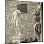 Firenze IV-Alan Blaustein-Mounted Photographic Print