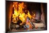 Fireplace or Furnace Invites You with its Cozy Blazing Fire to Warm Up-Kzenon-Mounted Photographic Print