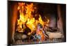 Fireplace or Furnace Invites You with its Cozy Blazing Fire to Warm Up-Kzenon-Mounted Photographic Print