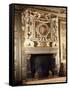 Fireplace with Round Image of Venus and Adonis-Francesco Primaticcio-Framed Stretched Canvas