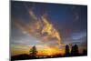 Firery Autumn - Sunset Sky and Tree Over Berkeley-Vincent James-Mounted Photographic Print