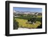 Firestone Winery Vineyards-Stuart Black-Framed Photographic Print