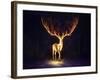 Firewalker-JoJoesArt-Framed Giclee Print