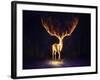 Firewalker-JoJoesArt-Framed Giclee Print