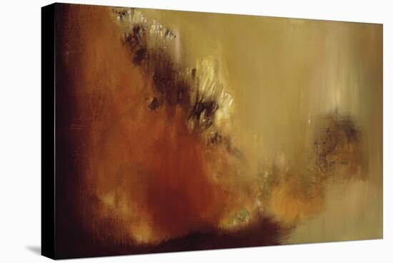 Firewall III-Roberta Aviram-Stretched Canvas