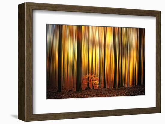 Firewall-Philippe Sainte-Laudy-Framed Photographic Print