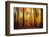 Firewall-Philippe Sainte-Laudy-Framed Photographic Print