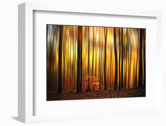 Firewall-Philippe Sainte-Laudy-Framed Photographic Print