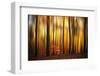 Firewall-Philippe Sainte-Laudy-Framed Photographic Print