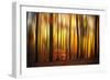 Firewall-Philippe Sainte-Laudy-Framed Photographic Print