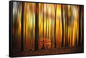 Firewall-Philippe Sainte-Laudy-Framed Stretched Canvas