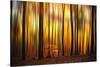 Firewall-Philippe Sainte-Laudy-Stretched Canvas