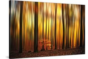 Firewall-Philippe Sainte-Laudy-Stretched Canvas