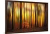 Firewall-Philippe Sainte-Laudy-Framed Photographic Print